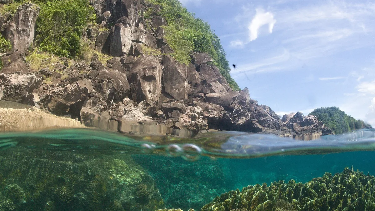 Apo Island: The Philippines Greatest Marine Conservation Success Story