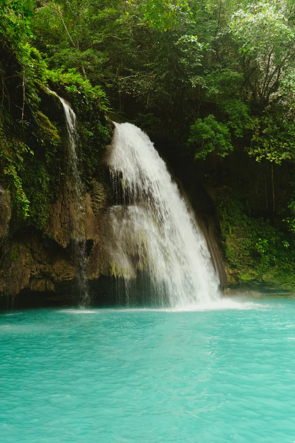 Cebu Mountain Lodge — Kawasan Falls