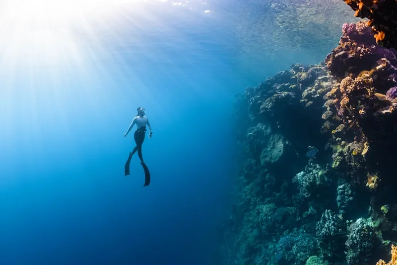 دليل دوماغويت 2026: بوابة الجزر الجنوبية والغوص في داوين