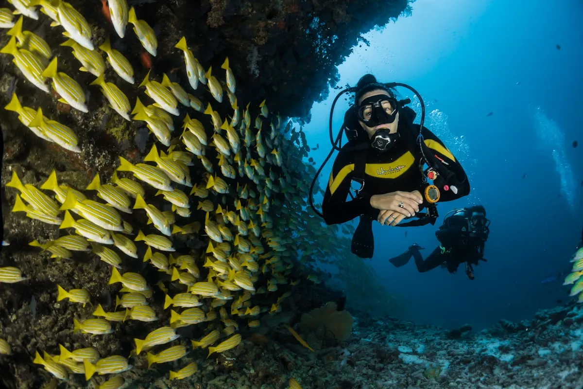 Apo Reef Natural Park Liveaboard from Puerto Galera