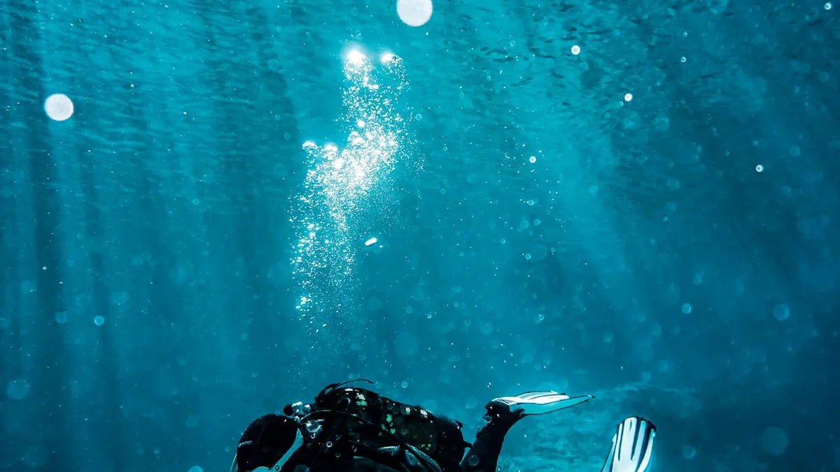 Mactan Discover Scuba Diving for Beginners