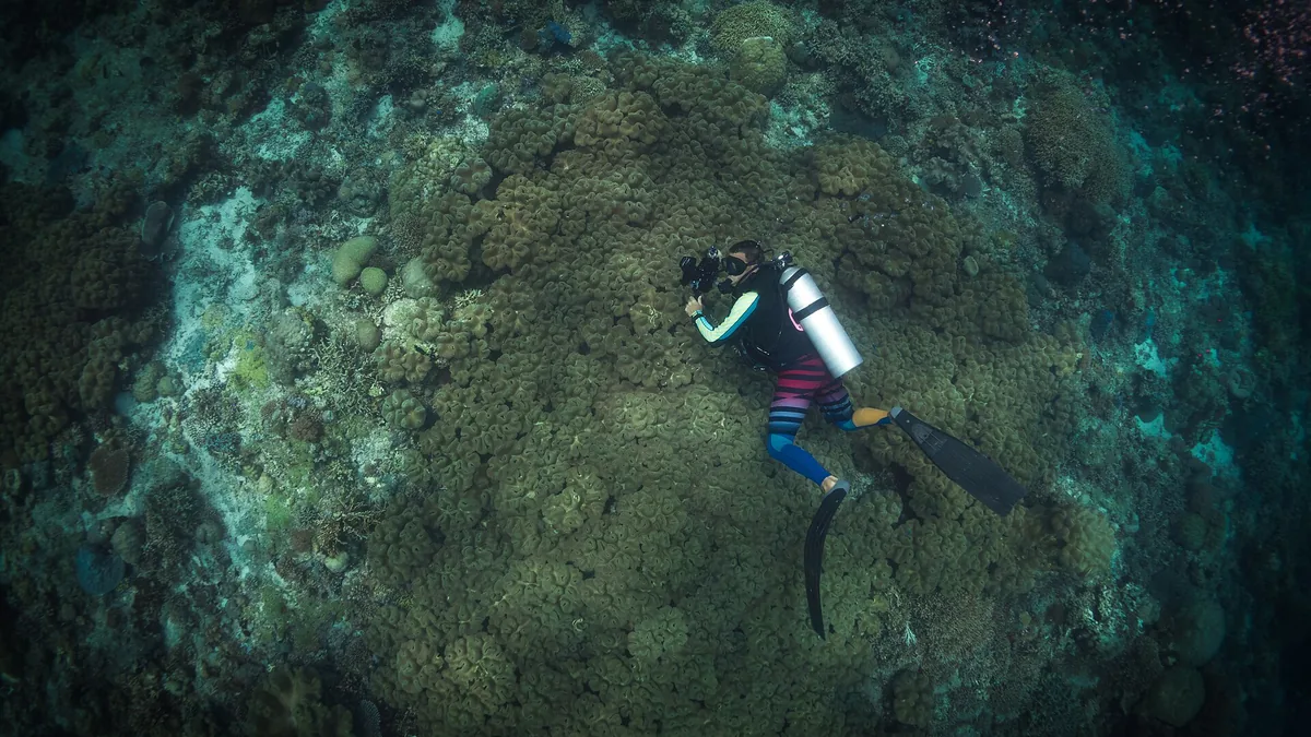 Tubbataha Reef Liveaboard Diving Expedition