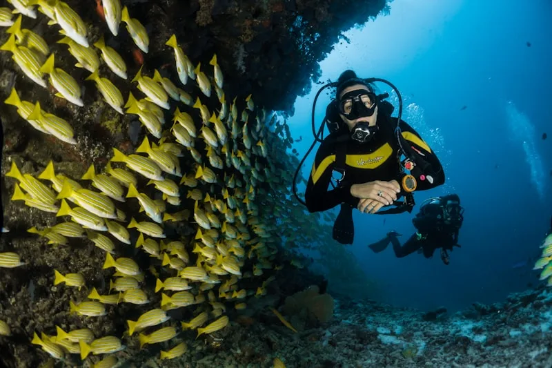 Siargao Spearfishing Adventure