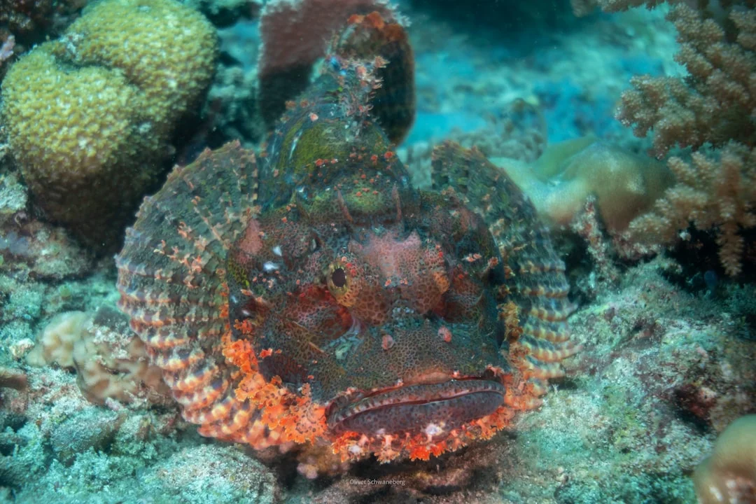Boracay Helmet Dive & Intro Scuba Package