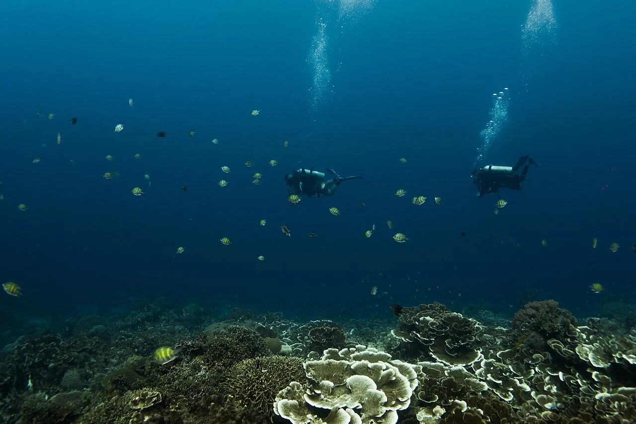 Capones Island Tour