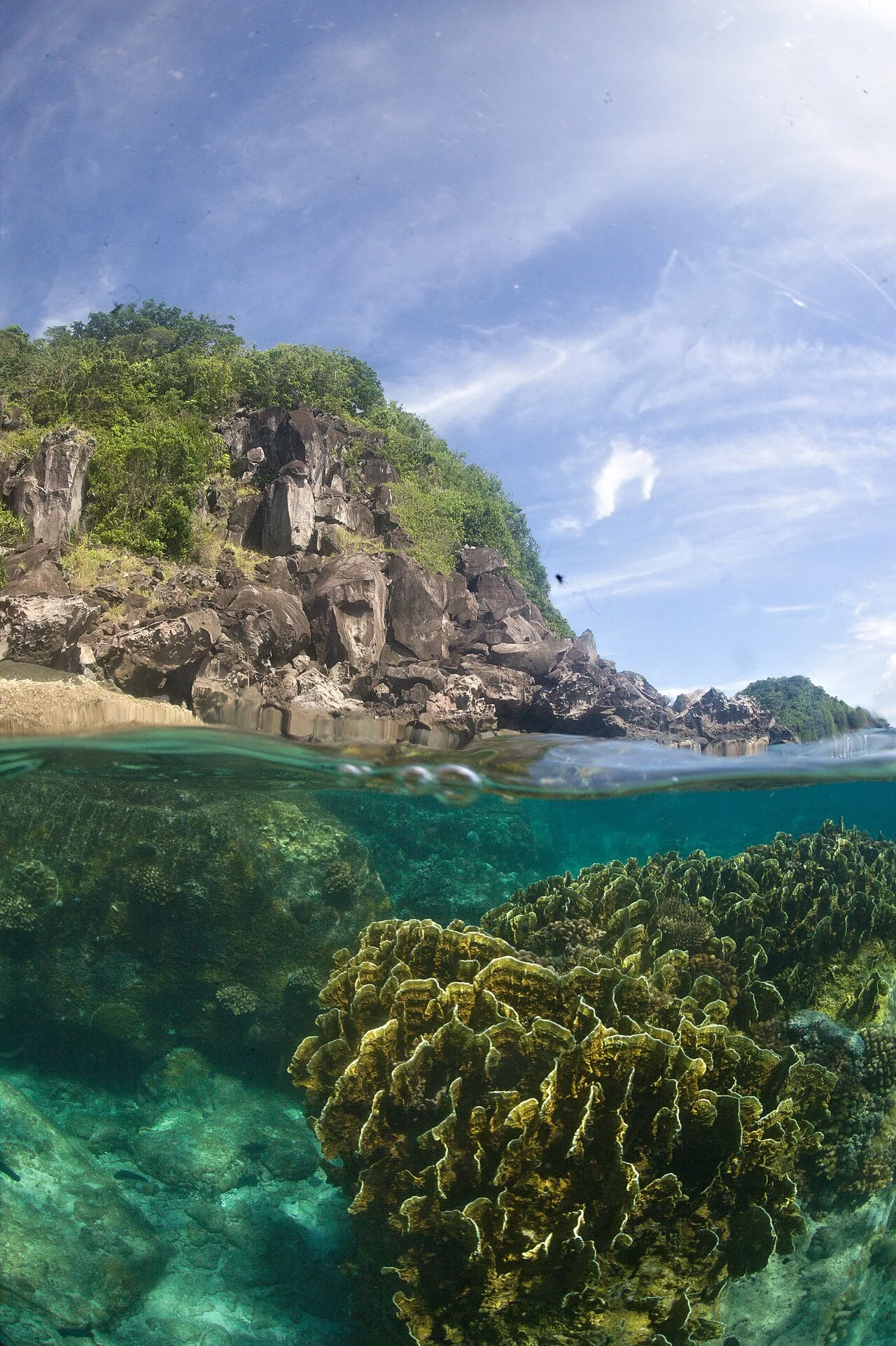 Dumaguete to Apo Island — Sea Turtle Diving